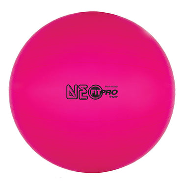 Fit Pro Training / Exercise Ball